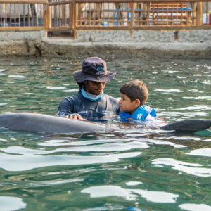 FOTOS DELFINES (5 FOTOS)