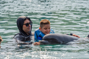 AVENTURA DELFINES 15 MIN