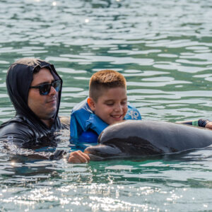AVENTURA DELFINES 15 MIN