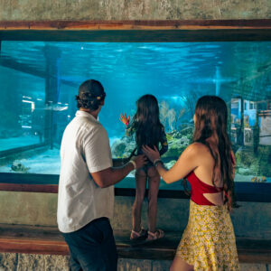 TICKET ENTRADA AL ACUARIO ADULTO MAYOR