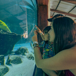 TICKET ENTRADA AL ACUARIO PARA NIÑO