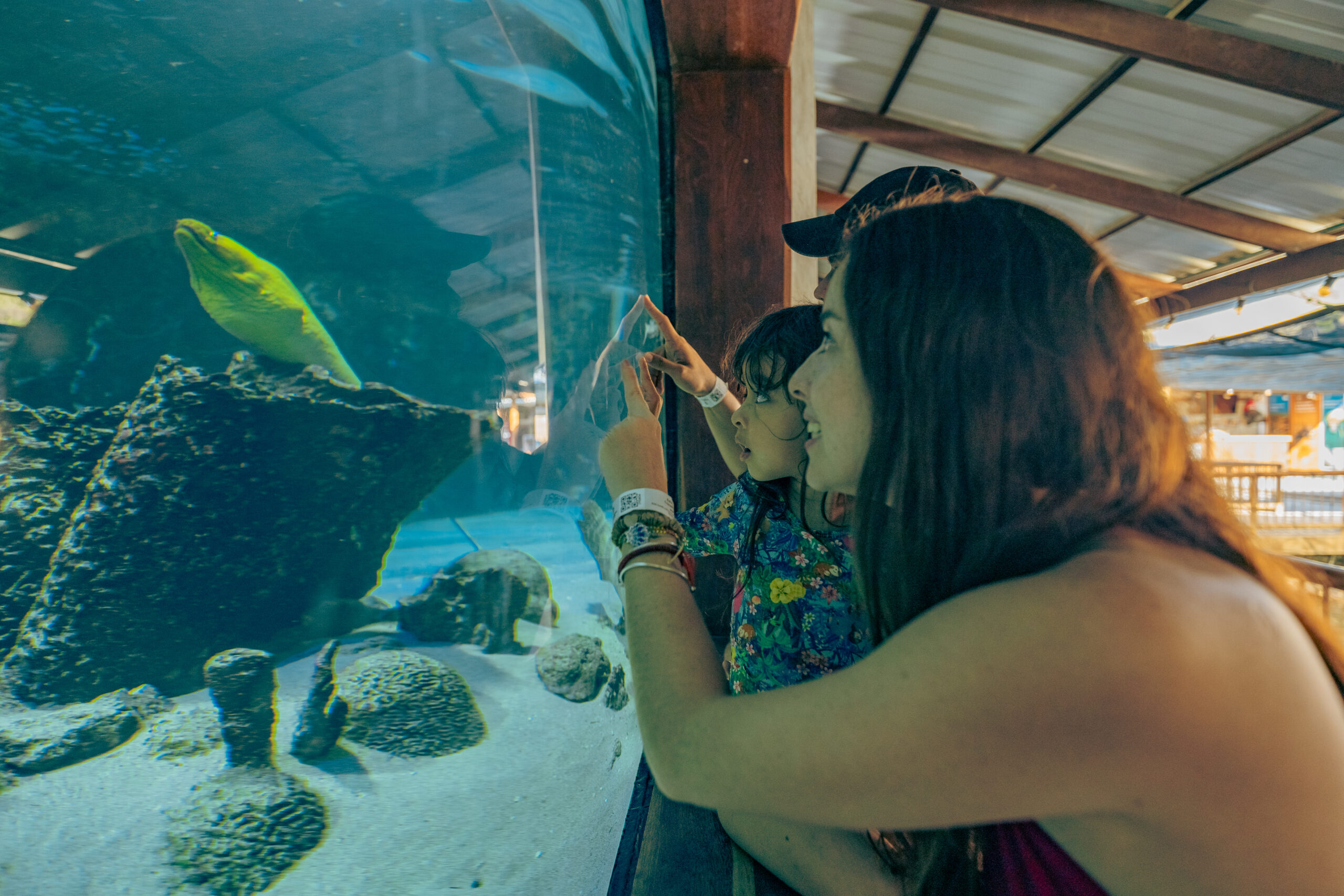 TICKET ENTRADA AL ACUARIO PARA NIÑO