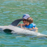 FOTOS INSTANTANEA DELFINES