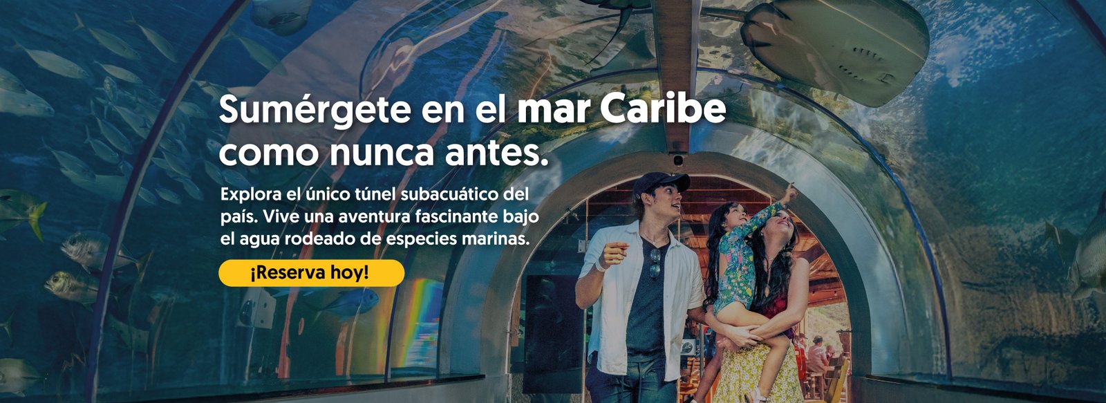 CVM
